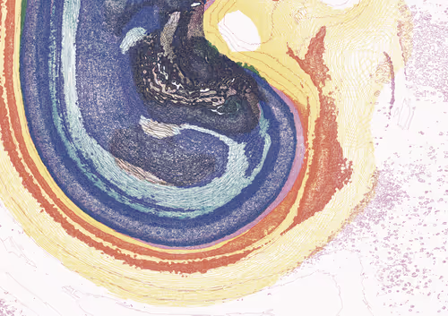 Item #2117317127 Media