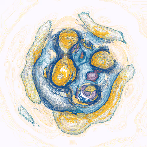 Item #378528470 Media