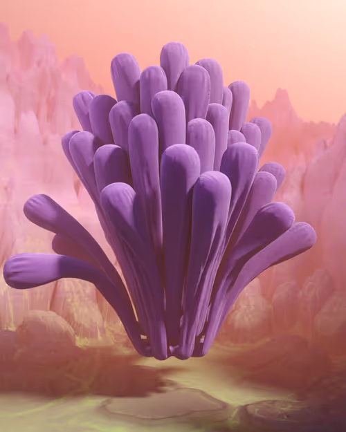 Item #18100030037 Media