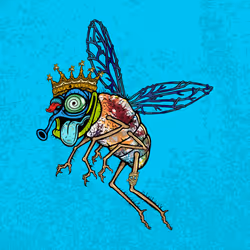 Funky Fly #1131
