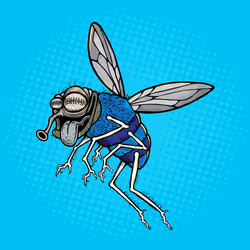 Funky Fly #1133