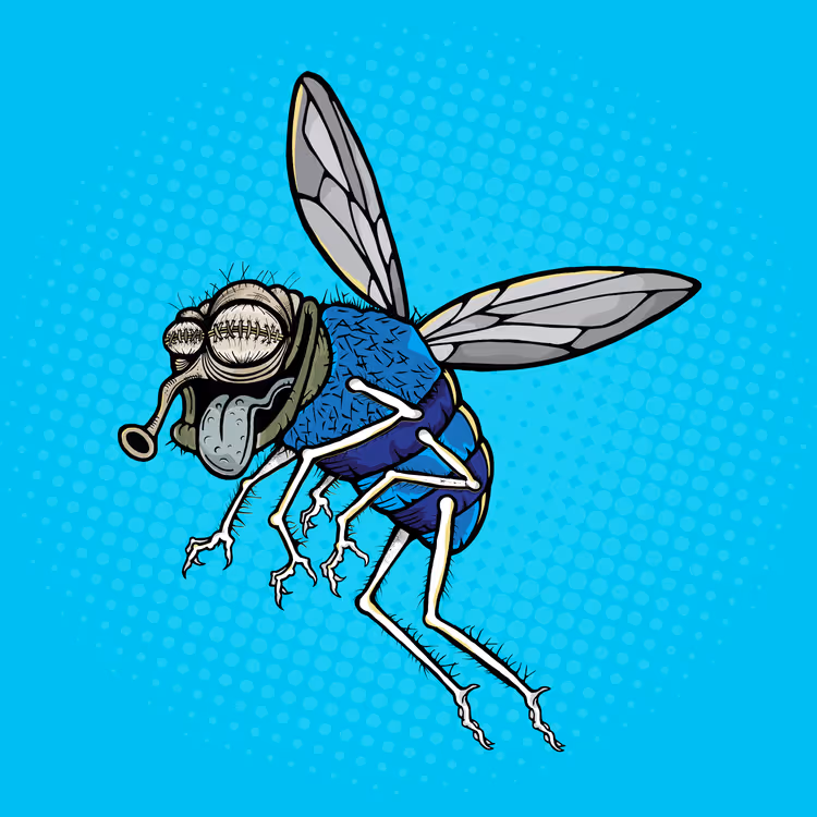 Funky Fly #1133