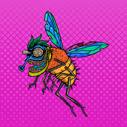Funky Fly #1740