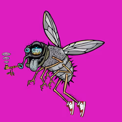 Funky Fly #1235