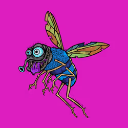 Funky Fly #892