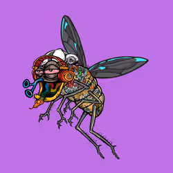 Funky Fly #2486