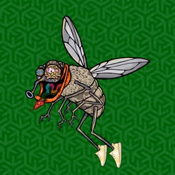 Funky Fly #6313