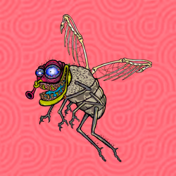 Funky Fly #136