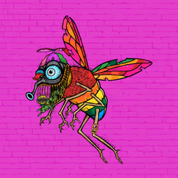 Funky Fly #6239