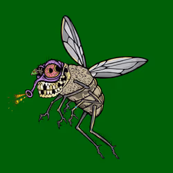 Funky Fly #1359