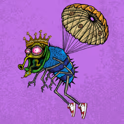 Funky Fly #6431