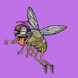 Funky Fly #1568