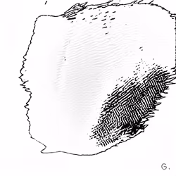 J48BAFORM #1652