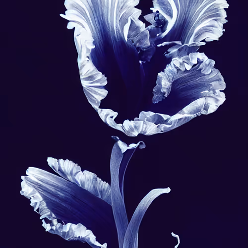 A Flower, Just For You.