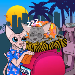 80