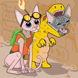 51