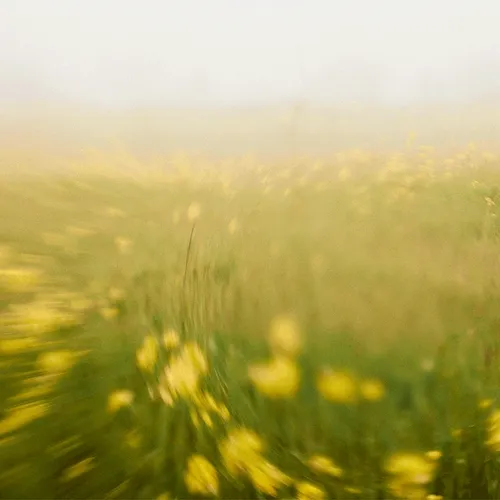 glitched away