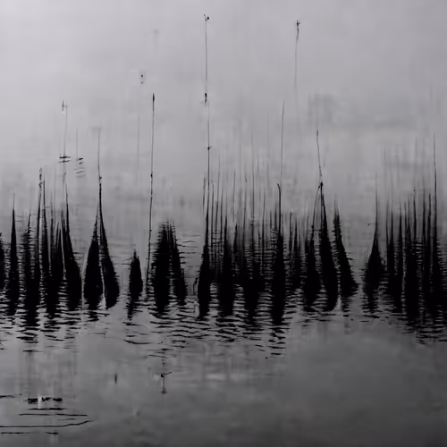 Subdued Calculus