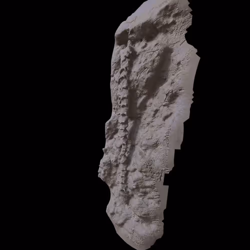 PLEXIDRA