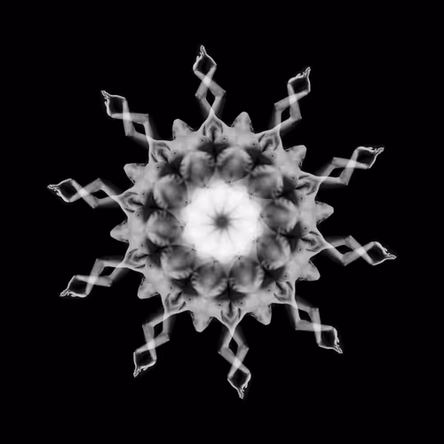 Black & White Body Mandalas