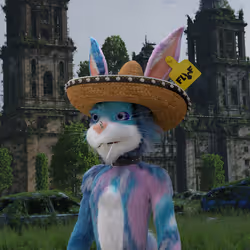 244