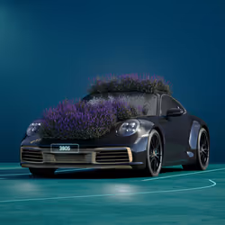PORSCHΞ 911 3805