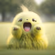 Fluff #775