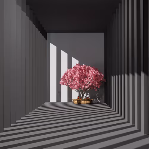 Bonsai