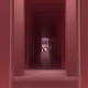Passage V2