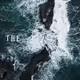 Video and Short Films