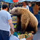 The Bear Market V2