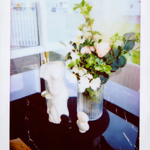 Polaroids: Little Moments