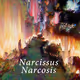 Narcissus Narcosis
