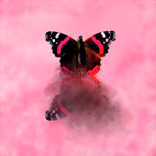Butterflies