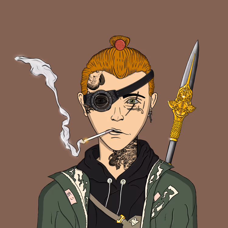 Pirate #1161