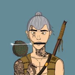 Pirate #2209