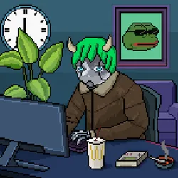 2776
