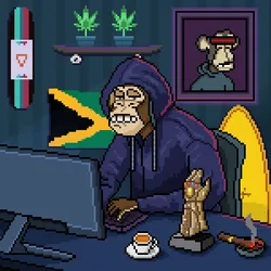 303