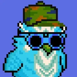 BIRDYBITE #4378