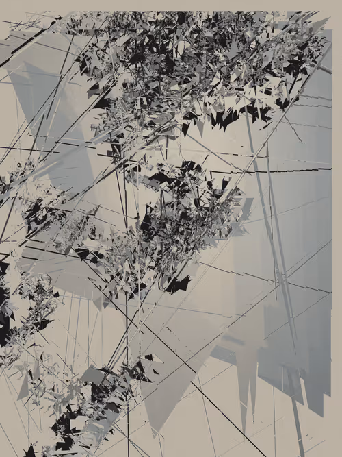 Item #1000800161 Media