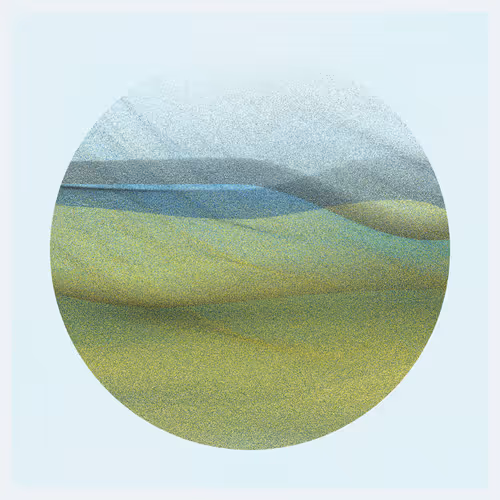 Item #1001300310 Media