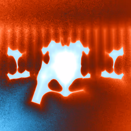 Item #1000400687 Media