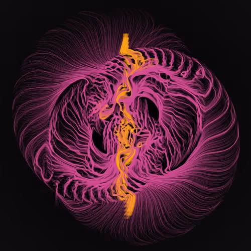 Item #1000900237 Media