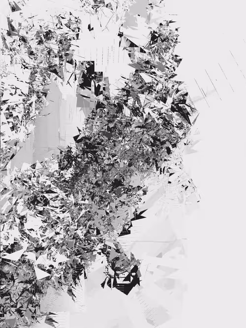 Item #1000800935 Media