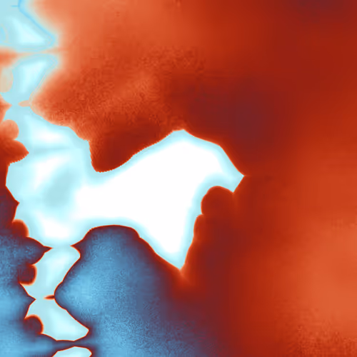 Item #1000400095 Media