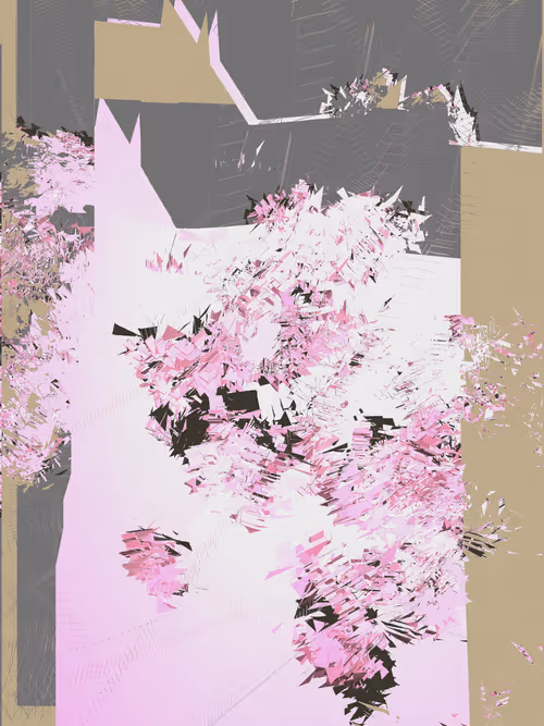 Item #1000800119 Media