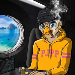 576