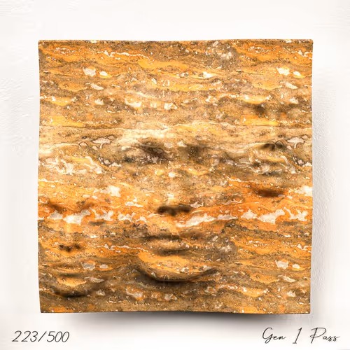 Item #223 Media