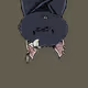 Moon Bats #8178
