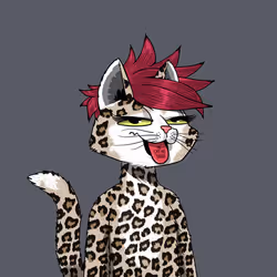 Mars Cat #5237